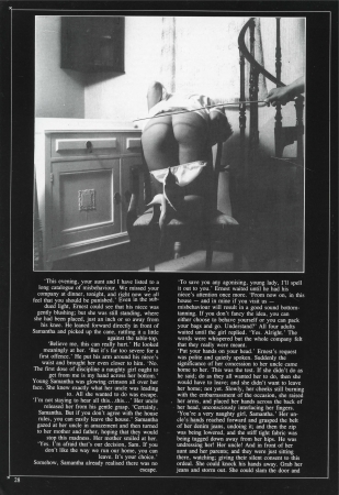 Blushes Supplement 21 [Blushes Supplement, Classic BDSM magazine, Corporal Punishment,  Spanking, Bdsm magazines]