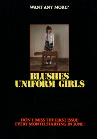 Blushes Supplement 04 [Blushes Supplement,  Spanking, Bdsm magazines, Classic BDSM magazine, Corporal Punishment]