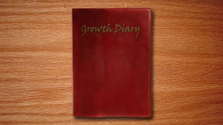 AlexGTS - Growth Diary (Extreme Comics) [alexgts, alexgts, tall girl, giantess, growth]