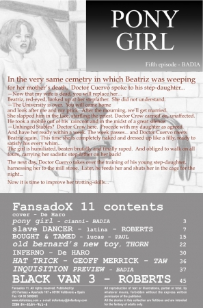 Fansadox No11