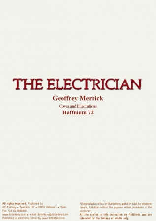 Novel Collection - Geoffrey Merrick - The Electrician