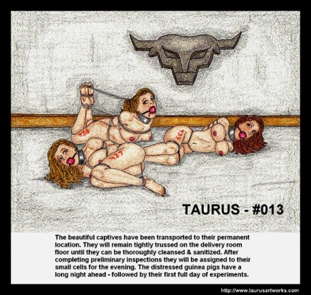 Taurus BDSM Comics 33