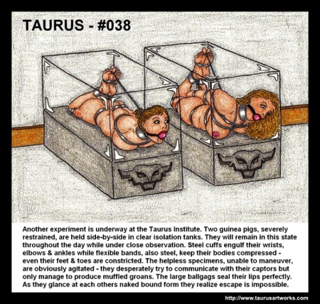 Taurus BDSM Comics 35