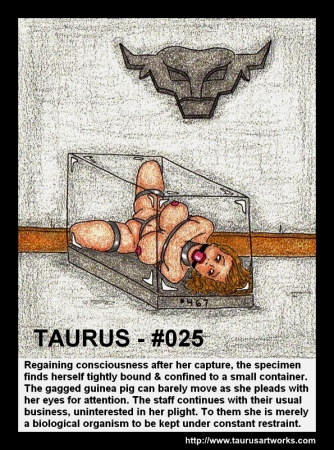 Taurus BDSM Comics 34