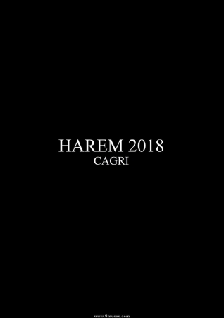 Cagri - Harem 2018- Bdsm porn comics
