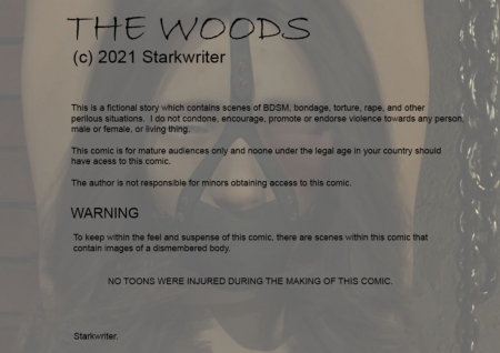 Starkwriter - The Woods