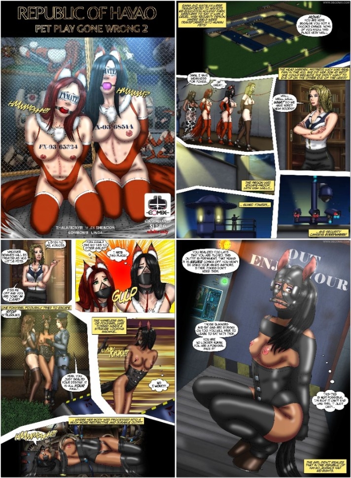 DBComix - Republic of Hayao - Pet Play Gone Wrong 02 [extreme sadism porn comics]