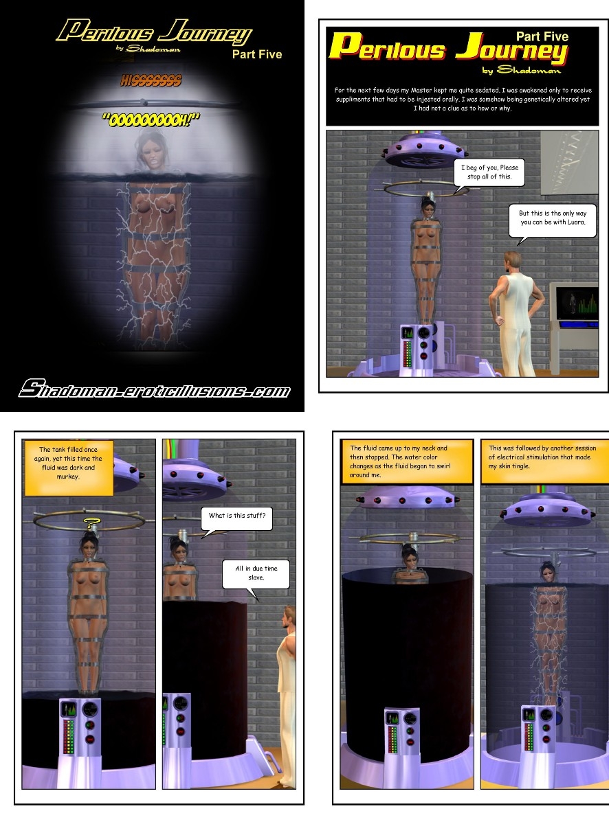 Sh4doman- SDML IT-PerilousJourney5