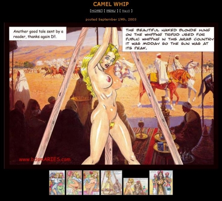 Camel Whip