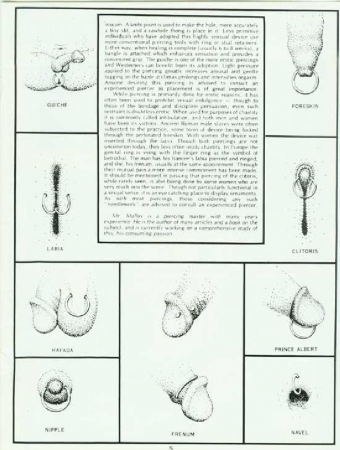Centurian - Slave Piercing 01