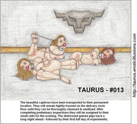 Taurus Collection 02