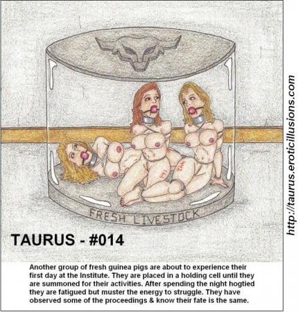 Taurus Collection 02