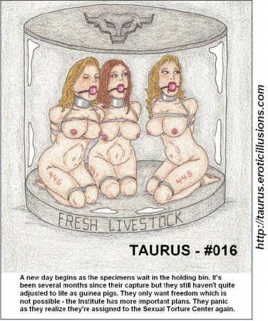 Taurus Collection 02