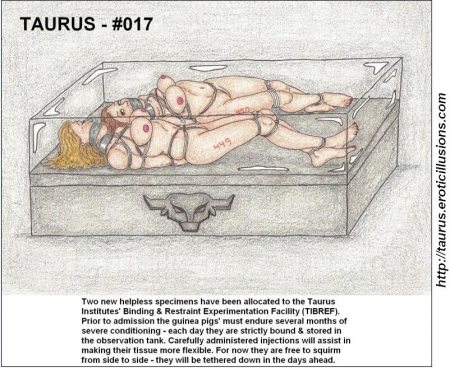 Taurus Collection 02