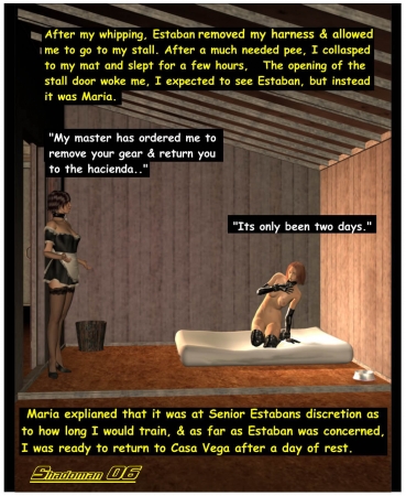 The Equestrian Affair part5