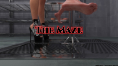 Cybercaptain - The Maze - The Collector 5 - Part 2