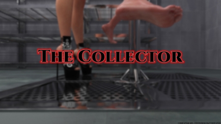 Cybercaptain - The Maze - The Collector 5 - Part 2