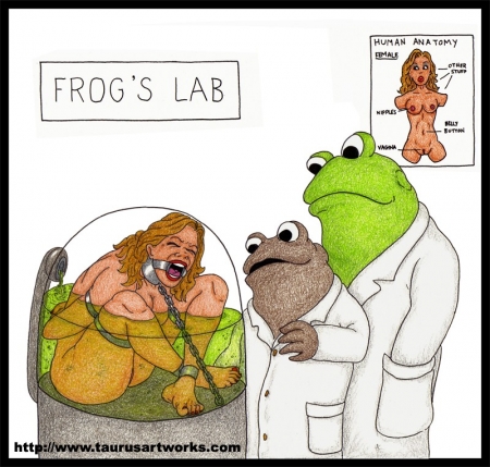FROG and TOAD