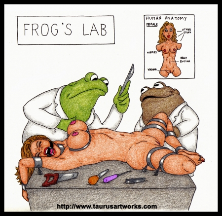 FROG and TOAD