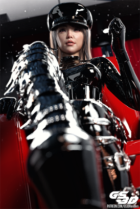 GS3D Collection
