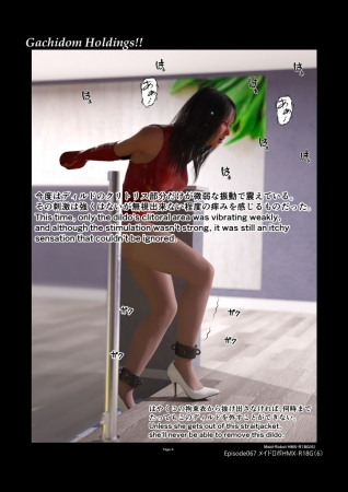 Gachidom Holdings 67