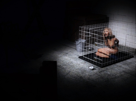 Cotinusa - The Stalker