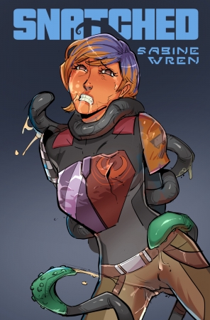 Disclaimer - Snatched Sabine Wren (11 pages)