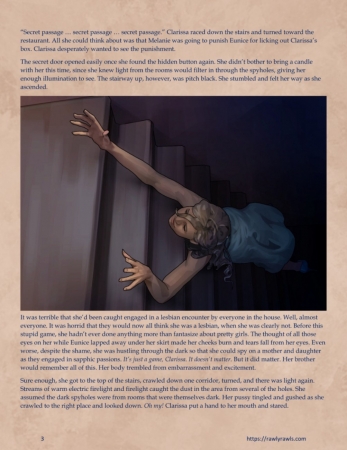 RawlyRawls - Murder at Palmer Lodge  Chapter 13