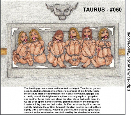 Taurus Collection 05