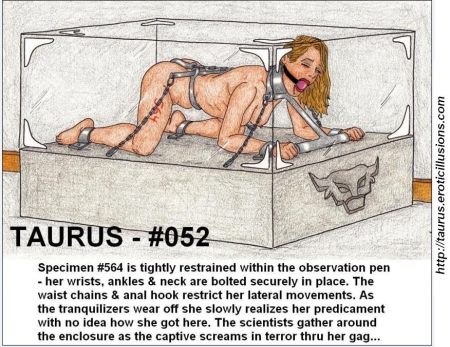 Taurus Collection 05