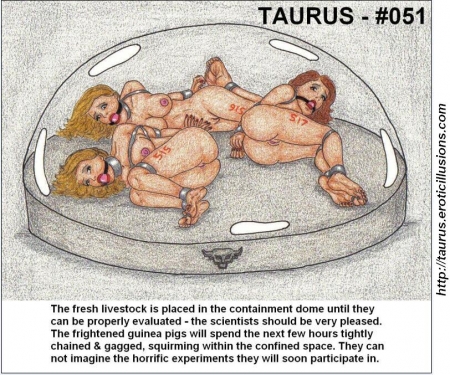 Taurus Collection 05