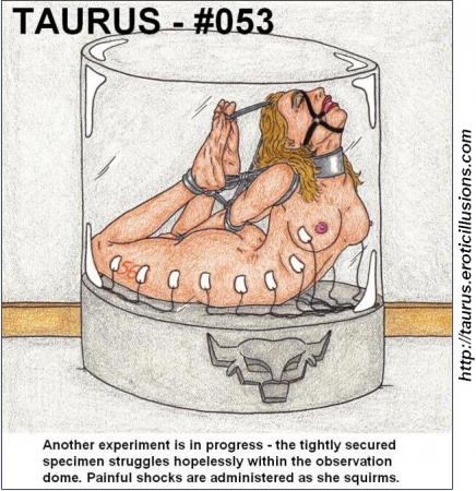 Taurus Collection 05