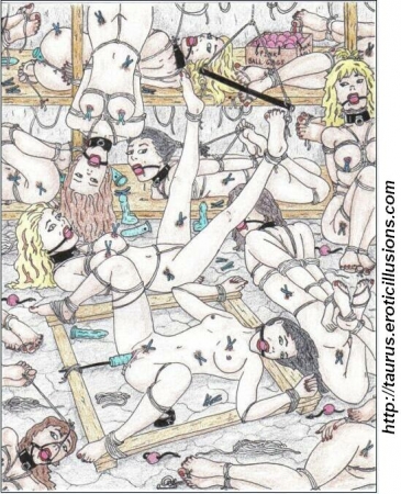 Taurus Collection 06