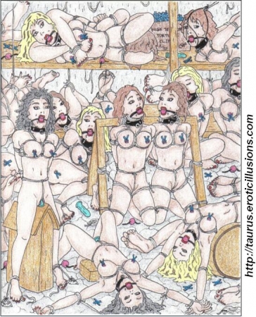 Taurus Collection 06