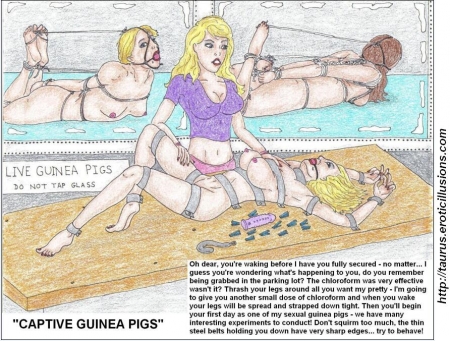 Taurus Collection 07