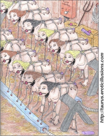 Taurus Collection 06