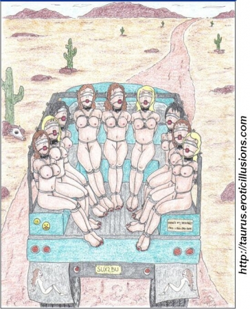 Taurus Collection 06