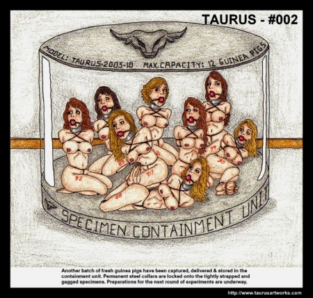 Taurus Pack  32