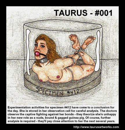 Taurus Pack  32