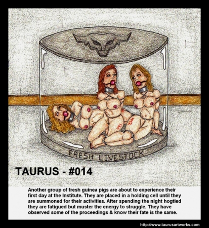 Taurus Pack  33