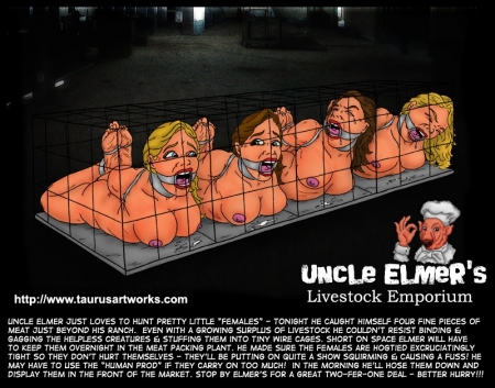 Uncle Elmer's Diary by Taurus
