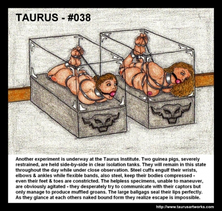 Taurus Pack  35