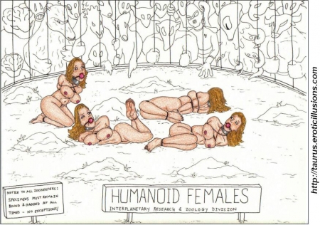 Taurus Collection 08