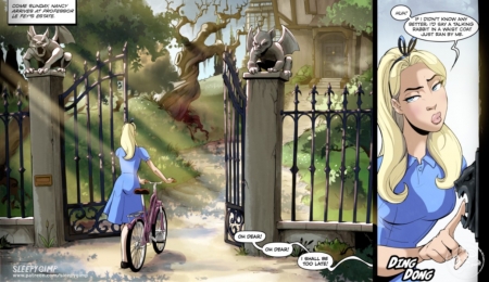 Sleepygimp - Nancy Through the Looking Glass (complete)